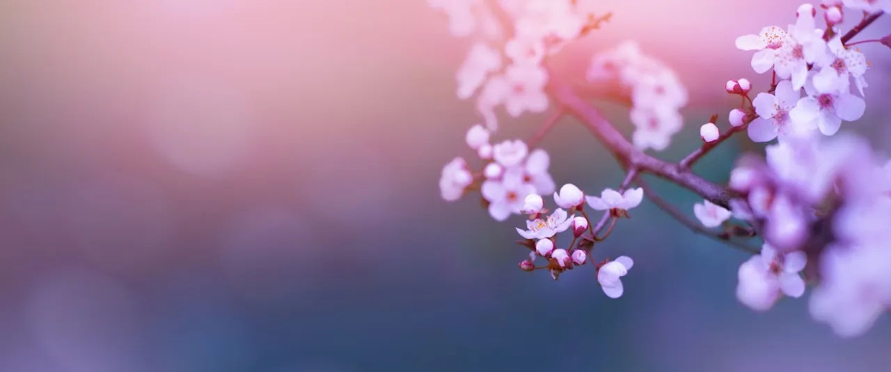 Digital Media Art Center